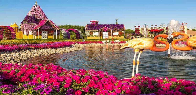 Miracle Garden Dubai