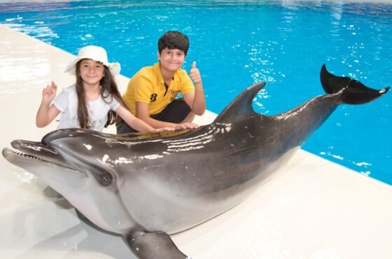 Dubai Dolphinarium