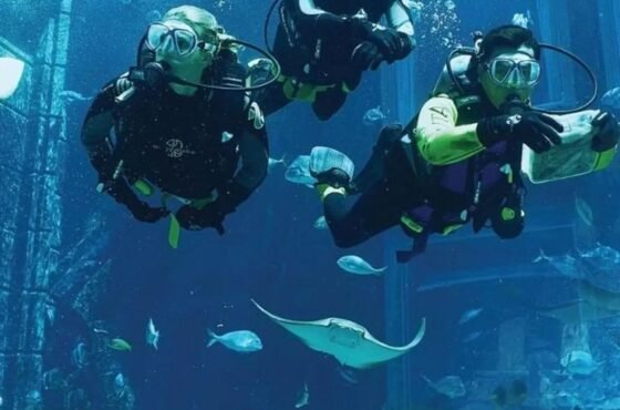 Scuba Diving Tour