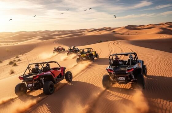 Desert Buggy Driving Experience – Dubai
