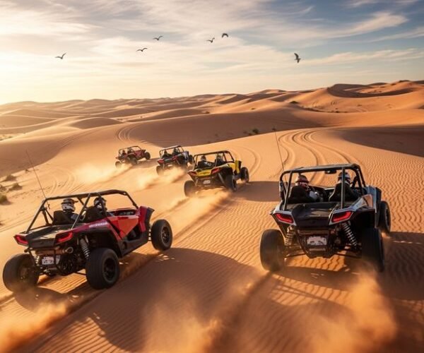 Desert Buggy Driving Experience – Dubai