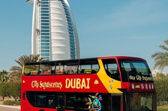 Big Bus Tour Dubai